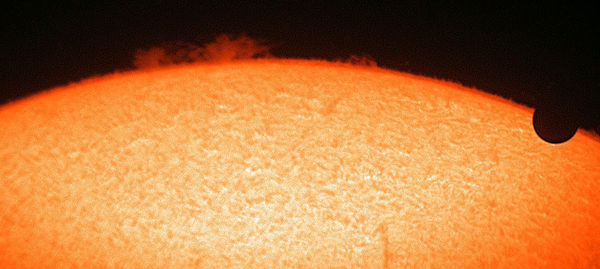 Image of the Venus transit taken at the Jordan Hall observatory. At the right, Venus is just starting it's transit while a large Solar prominence is seen at the center. Image Credit: Colin Littlefield